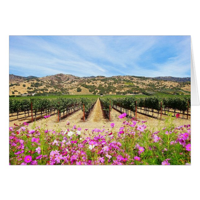 Napa Valley California Vineyard (Front Horizontal)