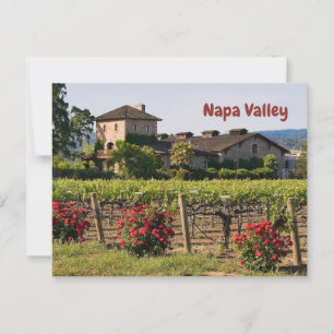 Napa Valley, California Vineyard in Summer Postcard