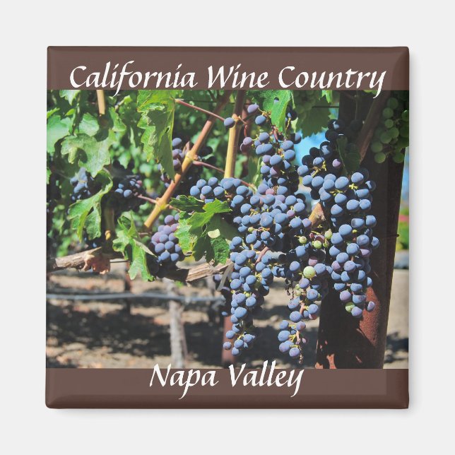 Napa Valley  California Wine Country Magnet (Front)