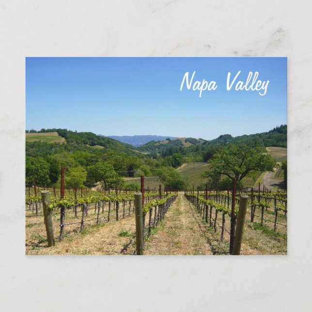 Napa Valley Postcard (Front)