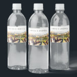 Napa Valley vineyard watercolor wedding<br><div class="desc">Napa Valley vineyard watercolor wedding thank you favours  water bottle labels</div>
