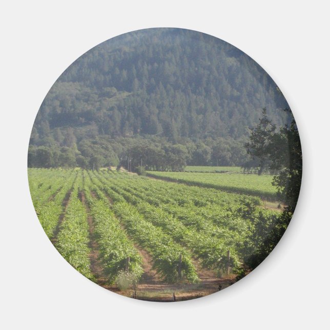 Napa Valley Vineyards I Magnet (Front)
