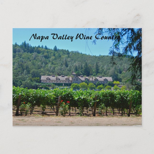 Napa Valley Wine Country Vineyard Postcard (Front)