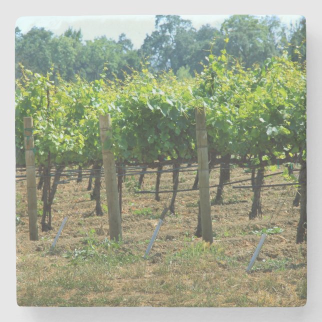 Napa Vines Marble Coaster (Front)