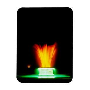 Napier NZ fountain Magnet