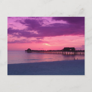 Naples Beach Play Postcard