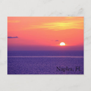 Naples, FL Postcard
