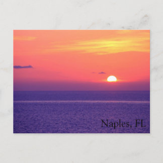 Naples, FL Postcard