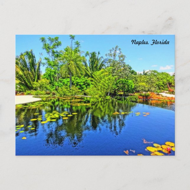 Naples Florida Botanical Garden - Infinity Pool Postcard (Front)