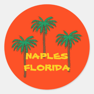 NAPLES FLORIDA palm tree sticker
