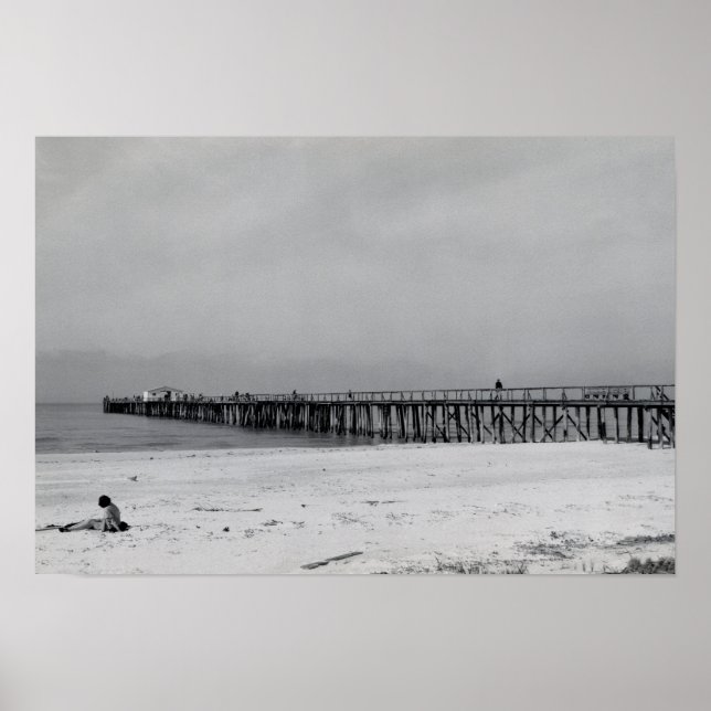 Naples Florida Pier Poster (Front)
