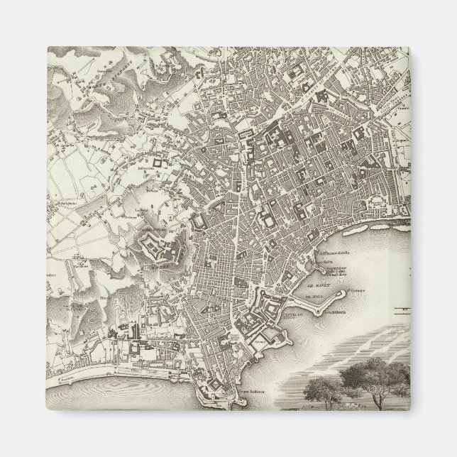 Naples, Italy Magnet (Front)