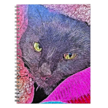 Napoleon in a blanket