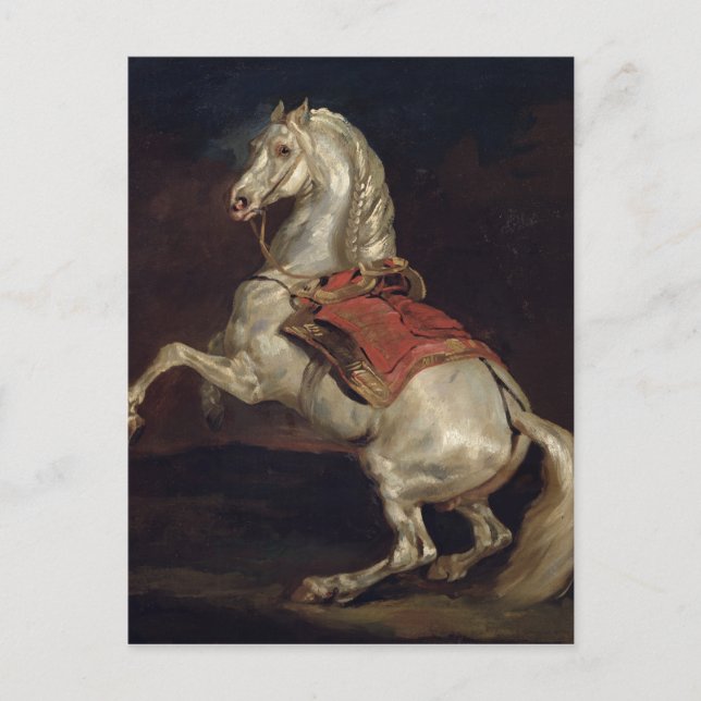 Napoleon's Stallion, Tamerlan Postcard (Front)