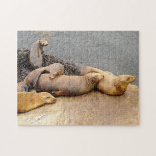 Napping Baby Sea Lions Jigsaw Puzzle