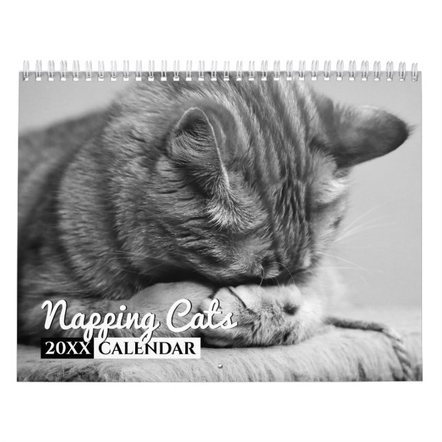 Napping Cats Photo Wall Calendar (Cover)