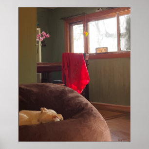 Napping dog still life canvas print