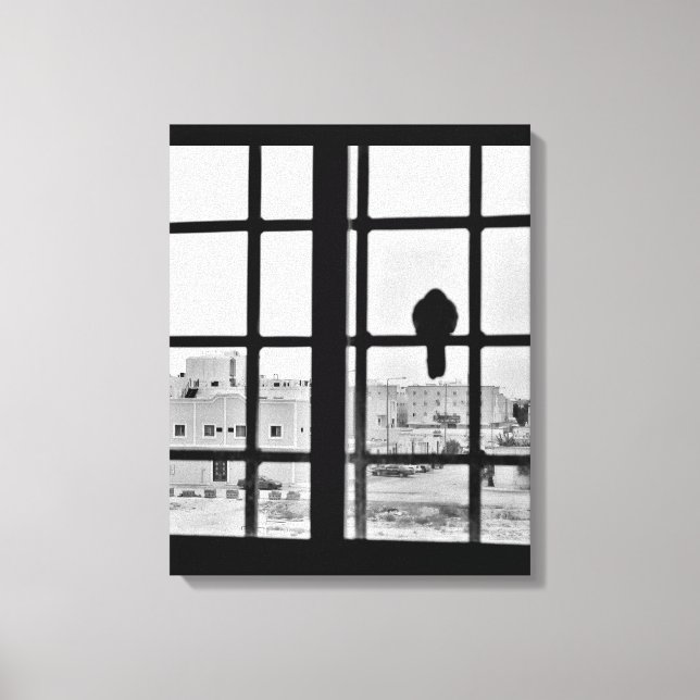 Napping Dove  Canvas Print (Front)