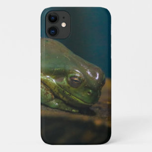 napping frog Case-Mate iPhone case