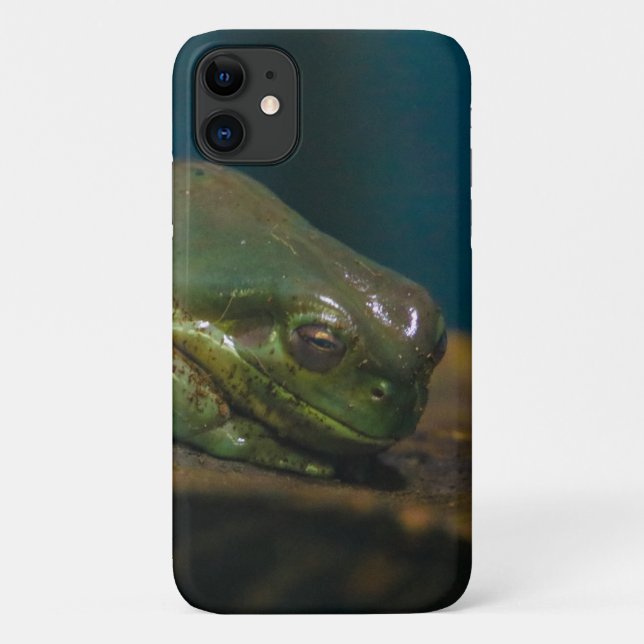 napping frog Case-Mate iPhone case (Back)