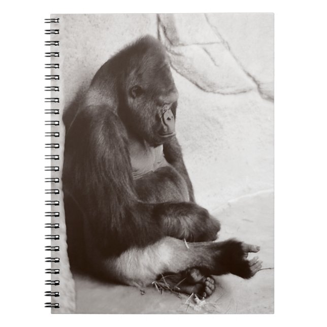 Napping Gorilla Photo Spiral Notebook (Front)