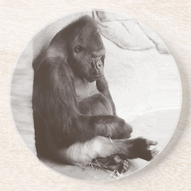 Napping Gorilla Photograph Coaster (Front)