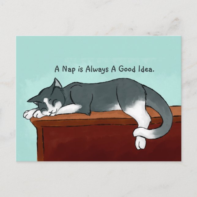 Napping Kitty Postcard (Front)