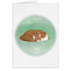 Napping Orange Kitty
