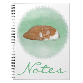Napping Orange Kitty Spiral Notebook