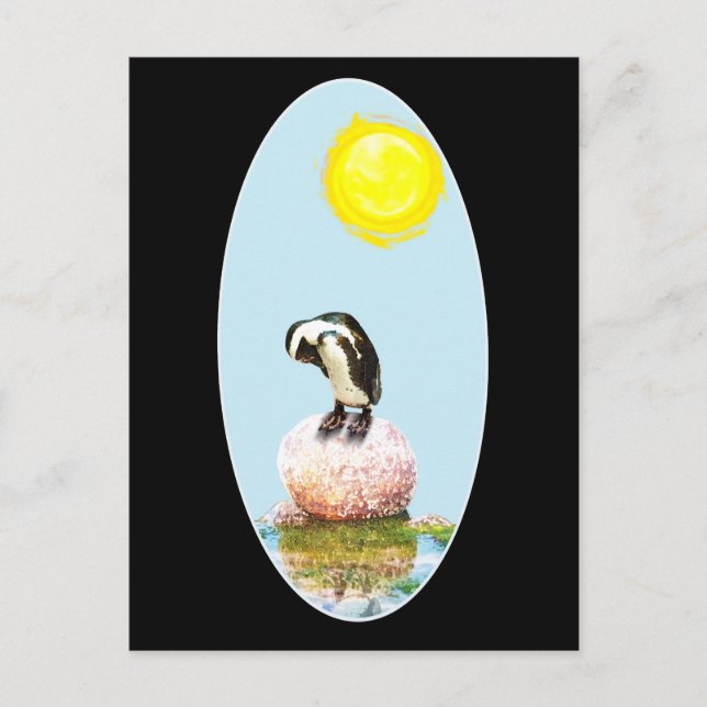 Napping Penguin in the Sun Postcard (Front)