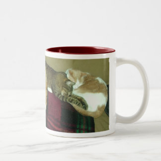 napping trio Two-Tone coffee mug