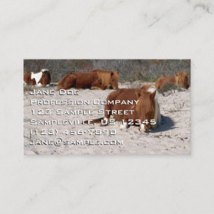 Napping Wild Ponies at Assateague National Park Business Card