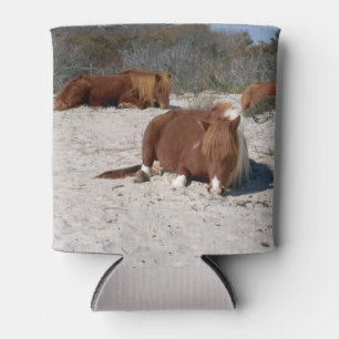 Napping Wild Ponies at Assateague National Park Can Cooler