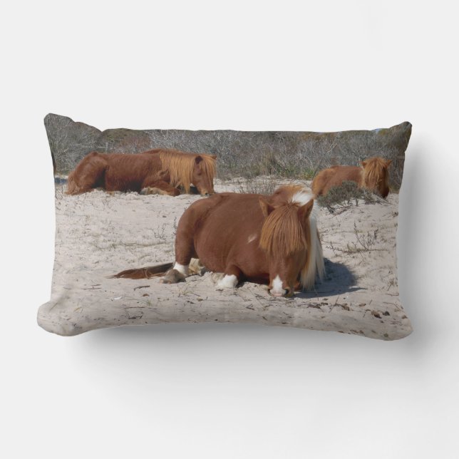 Napping Wild Ponies at Assateague National Park Lumbar Cushion (Front)
