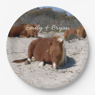 Napping Wild Ponies at Assateague National Park Paper Plate