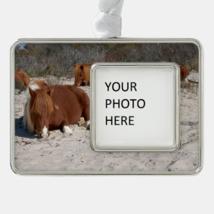 Napping Wild Ponies at Assateague National Park Silver Plated Framed Ornament
