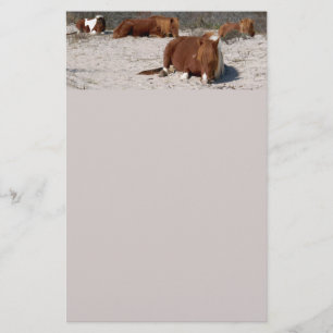 Napping Wild Ponies at Assateague National Park Stationery
