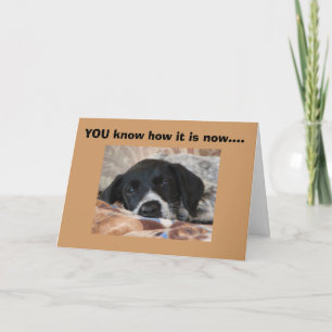 NAPS ARE AN IMPORTANT TIME OF DAY CARD