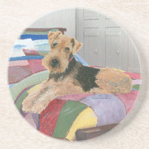Naptime Coaster