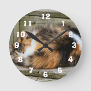 Naptime Round Clock