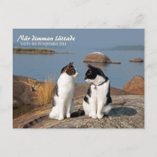 När dimman lättade CC0547 Sideby Postcard