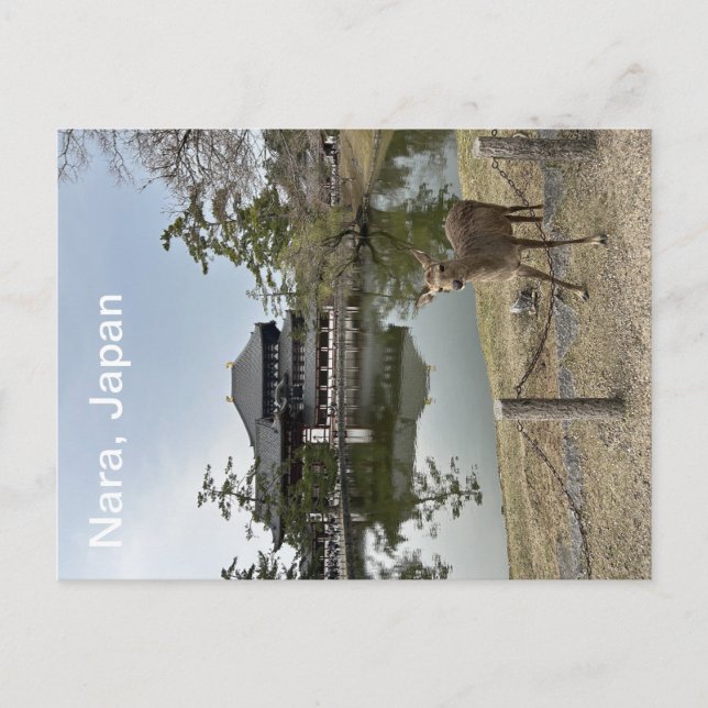 Nara, Japan postcard (Front)