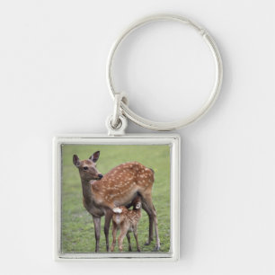 Nara Prefecture, Honshu, Japan 2 Key Ring
