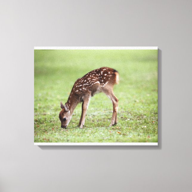 Nara Prefecture, Honshu, Japan 3 Canvas Print (Front)