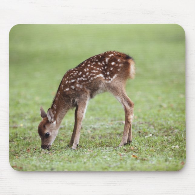 Nara Prefecture, Honshu, Japan Mouse Pad (Front)