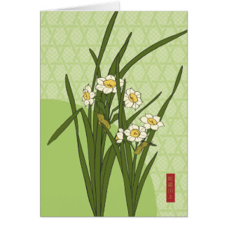 Narcissus Bloom