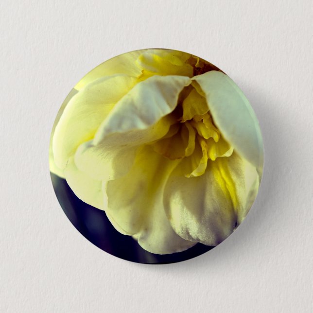 Narcissus Daffodil 6 Cm Round Badge (Front)