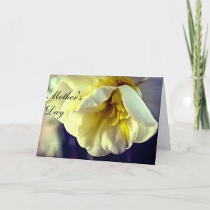 Narcissus Daffodil Mum's Day Card