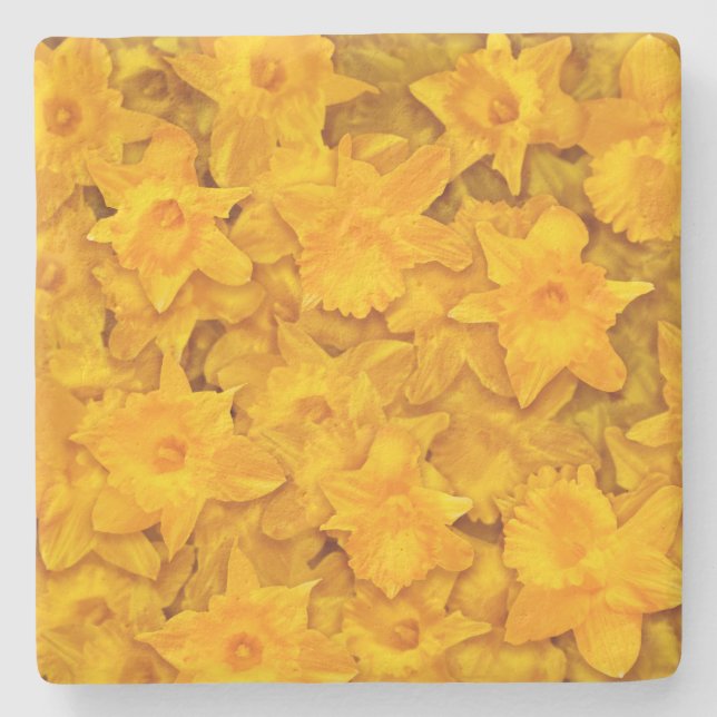 Narcissus Flowers Stone Coaster (Front)