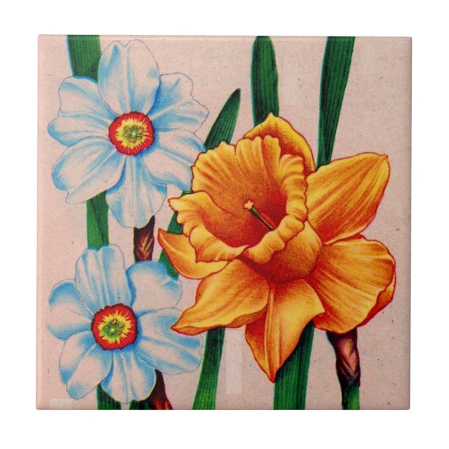 narcissus flowers tile (Front)